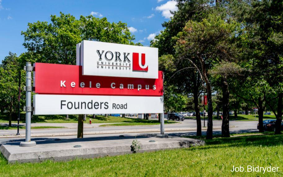 York University International